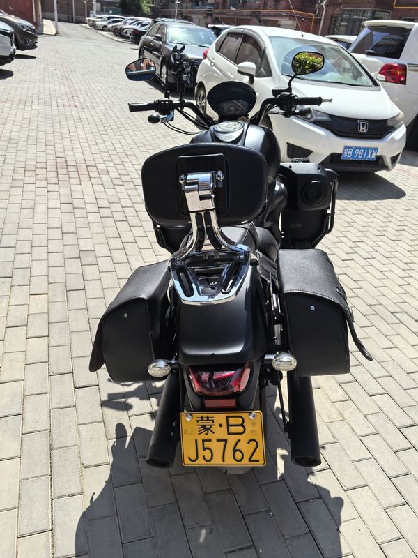 二手摩枭650LS