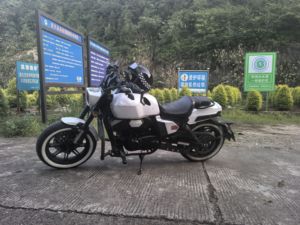 二手龙嘉V霸250