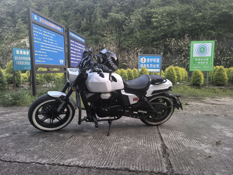 二手龙嘉V霸250