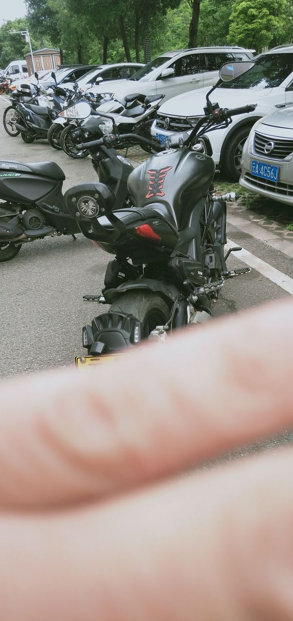 二手贝纳利502C