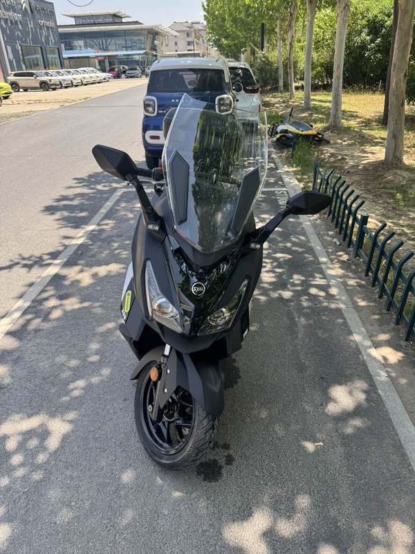 二手三阳巡弋 Cruisym300