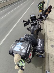 二手贝纳利金鹏 TRK251
