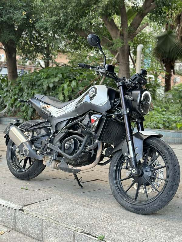 二手贝纳利幼狮 Leoncino 250