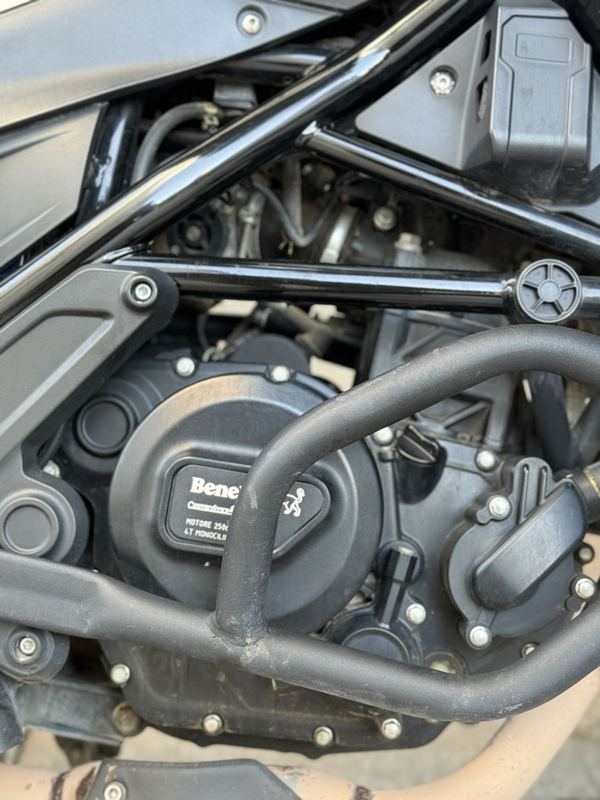 二手贝纳利幼狮 Leoncino 250