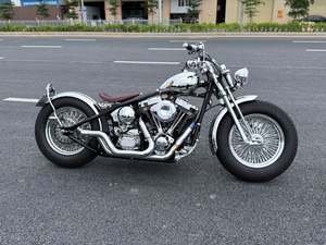 二手松散American Bobber