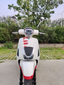 二手标本维诺拉150