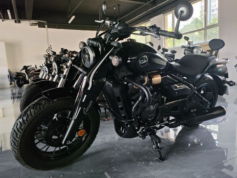 二手赛科龙RA600