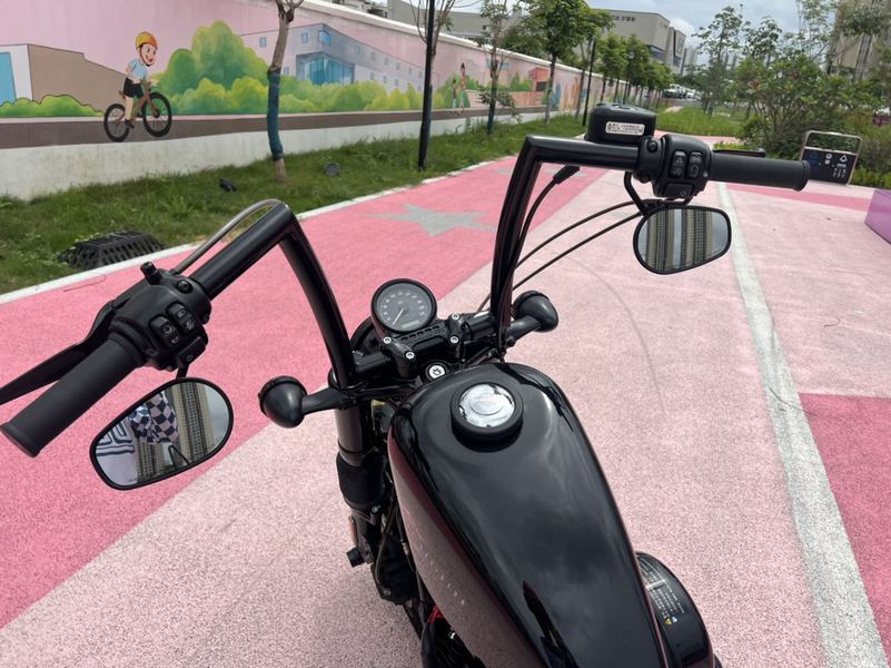 二手哈雷戴维森XL1200X Forty-Eight