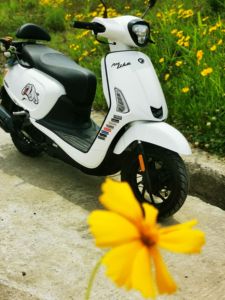 二手光阳Any Like Q 150