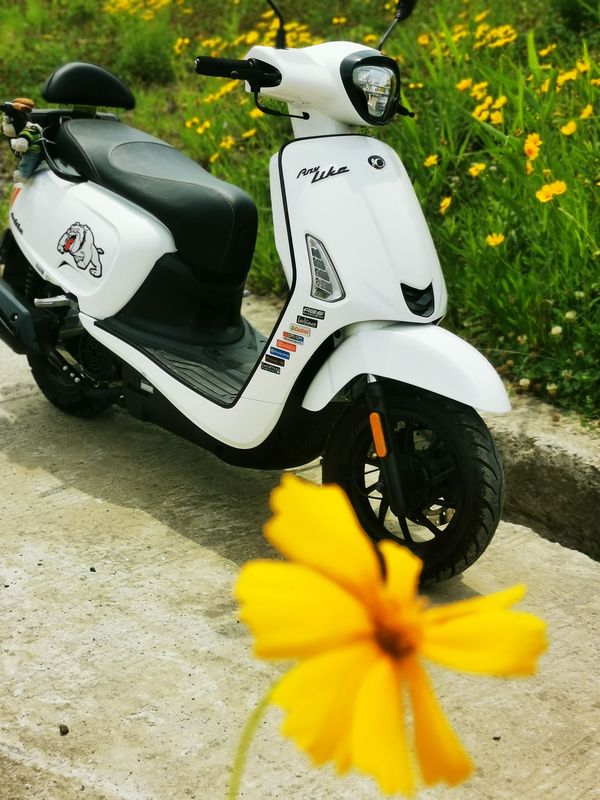 二手光阳Any Like Q 150