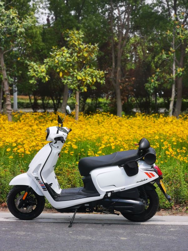 二手光阳Any Like Q 150