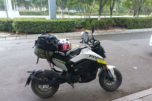 二手春风Papio Nova