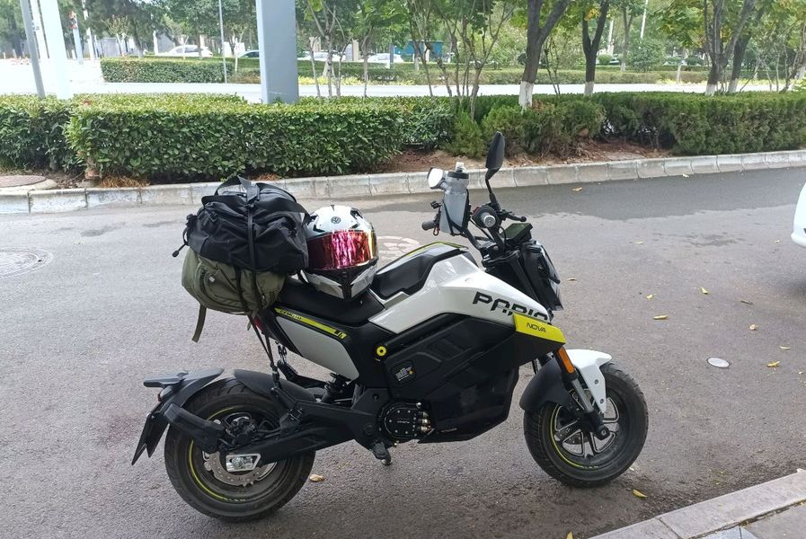 二手春风Papio Nova