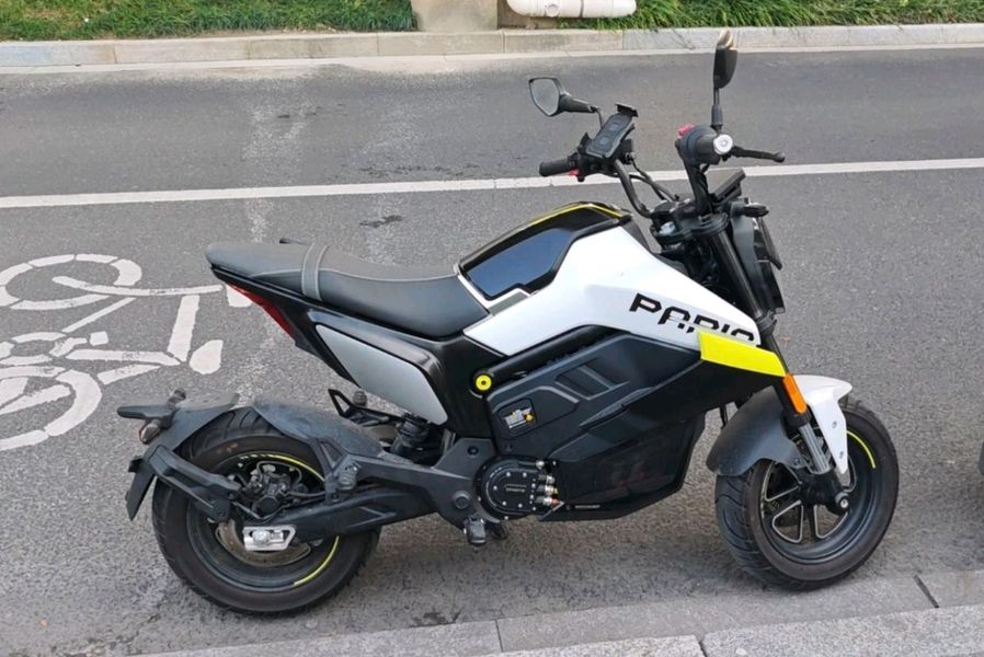 二手春风Papio Nova
