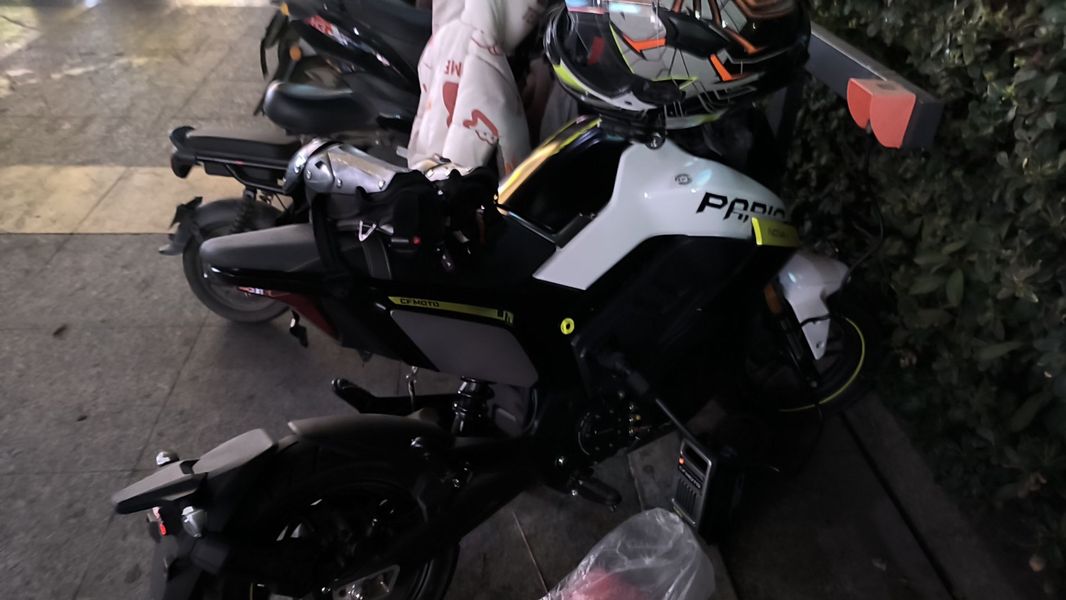 二手春风Papio Nova