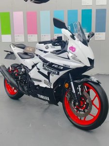 二手雅马哈YZF-R3