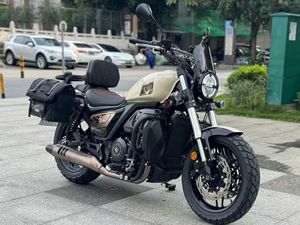 二手赛科龙RA401