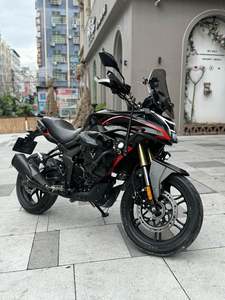 二手无极300DS