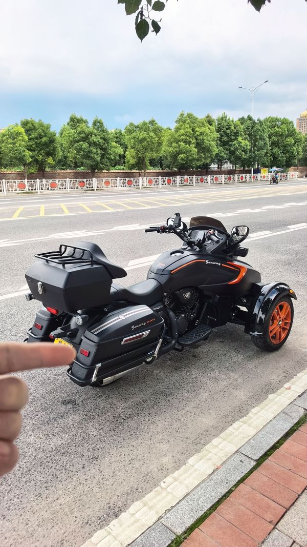 二手庄威威迪南