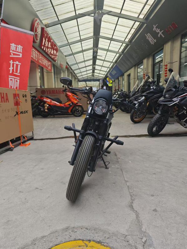 二手天地游侠布雷斯通 G3