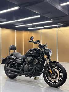 二手庄威V400