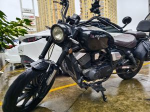 二手龙嘉V途250