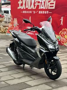 二手赛科龙RT1