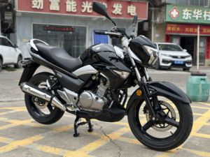 二手豪爵铃木骊驰 GW250