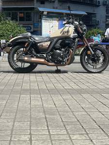 二手赛科龙RA401