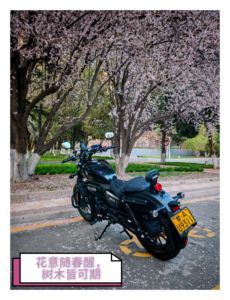 二手赛科龙RA250