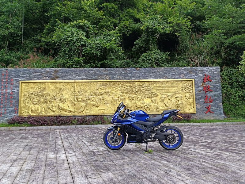 二手飞鹰RM35