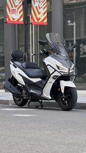 二手三阳Joymax Z 300