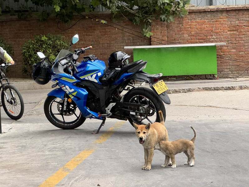 二手济南铃木极客飒 Gixxer 155