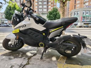 二手春风Papio Nova