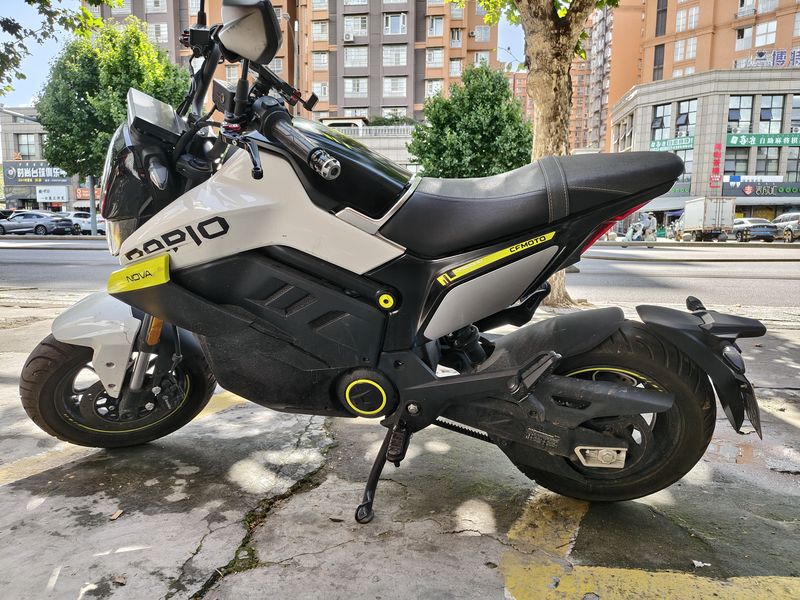 二手春风Papio Nova