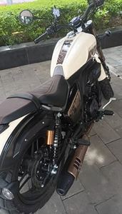 二手赛科龙RA401