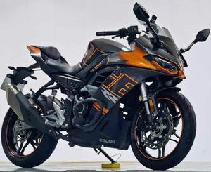二手无极250RR