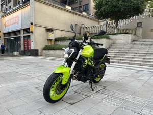 二手贝纳利蓝宝龙 BN302S