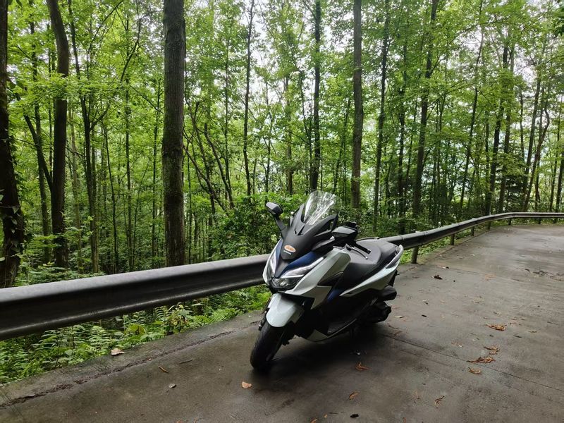 二手本田NSS350(进口)