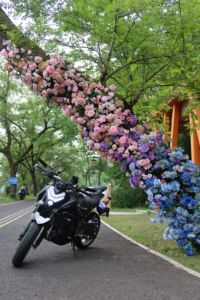 二手春风450NK