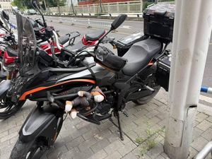 二手无极300DS
