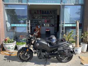 二手贝纳利幼狮 Leoncino 500