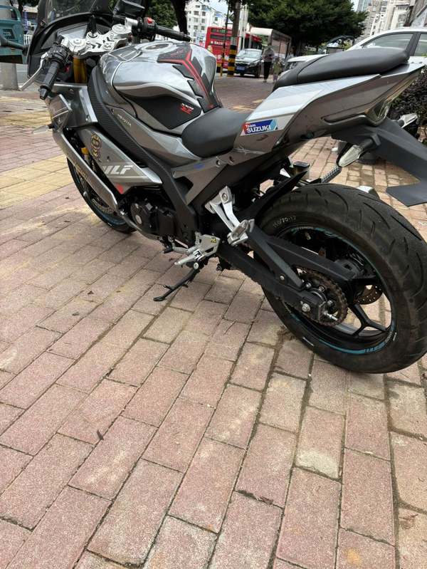 二手宝雕R1S500