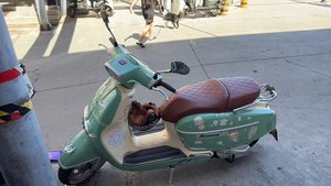 二手维多利亚Sixties 150Si