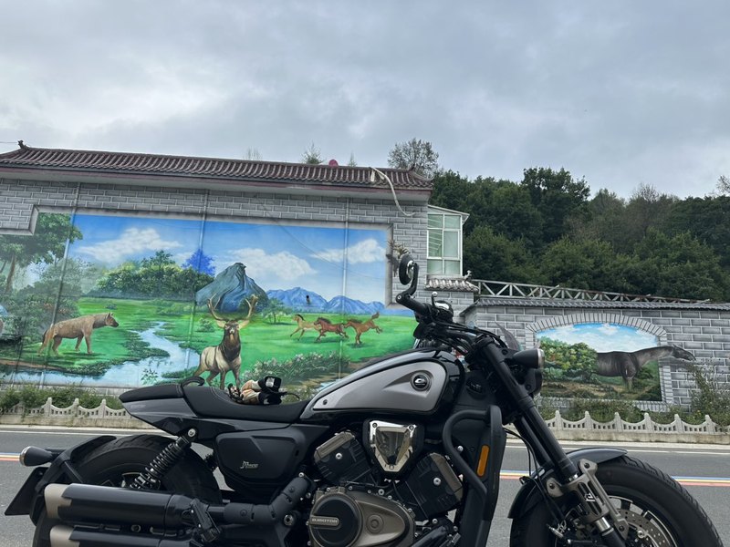 二手QJMOTOR闪600