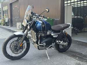 二手凯旋Scrambler 1200