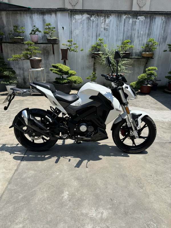 二手贝纳利小迅龙 BN150S