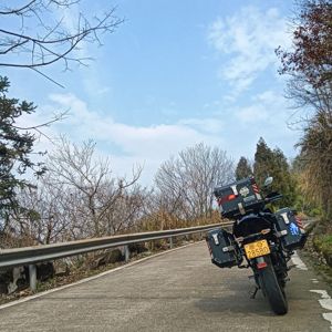 二手川崎Versys 650