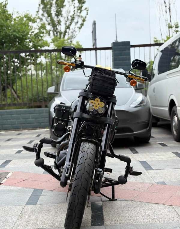 二手哈雷戴维森路威 Low Rider S