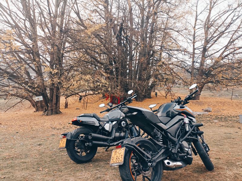 二手春风250NK